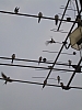 DSCN5612r.jpg DSCN5612r.jpg